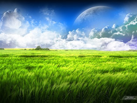 Field harmony - cloud, sky, field, moon, nature, green, grass