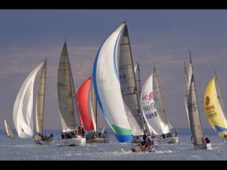 the race at sea - water, nature, sailboat, boat, ships, sea, sky