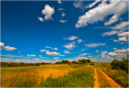 Summer road - summer, sky, road, field, nature