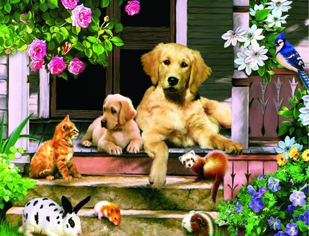 Friends gather - roses, animals, colorful, spring, rabbit, birds, puppy, bluejay, guinea pigs, gardening, seasons, friends, mouse, porch, creative pre-made, rabbits, painting, pretty, dog, dogs, guinea pig, butterflies, rats, cat, kitty, summer, lovely, bird, love four seasons, ferret, cats, steps, flowers, butterfly designs