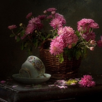 still life