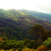 greenery mountains