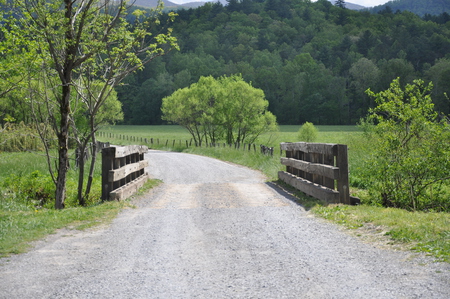 Bridge in Cades Caove - cades cove, spring, green, bridge