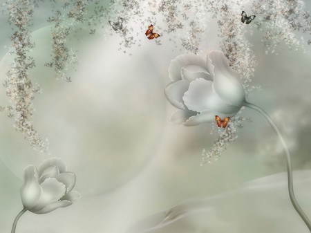 Flowers & Butterflies - flowers, white, blossom, butterflies, butterflys, flower