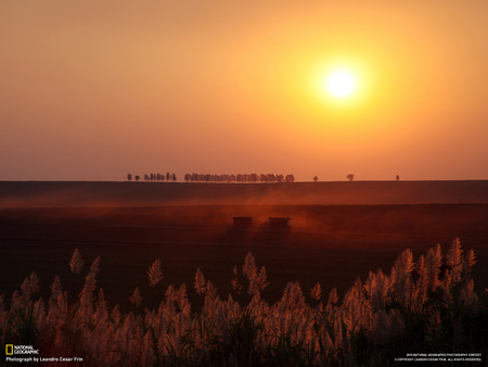 Red Sunset - nature, red, sun, sunset, field