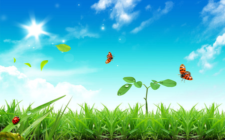 Scenery - butterfly, nature, blue, green, grass