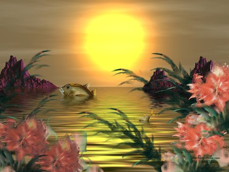 Sunset - refecting, flower, fish, coral, sunset, sun