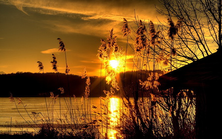 Golden sunset - rays, lake, sky, sunlight, trees, golden sunset, sunset, nature, reflection, clouds, golden