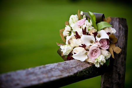 Bouquet - nice, roses, photography, bouquet, rose, cool, pretty, holiday, calla, harmony, wedding, lovely, gentle, beautiful, flowers, photo, flower, elegantly