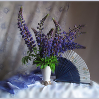 still life