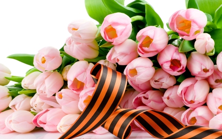 PINK TULIPS - blossoms, ribbon, tulips, pink, flowers, bouquet, spring, leaves