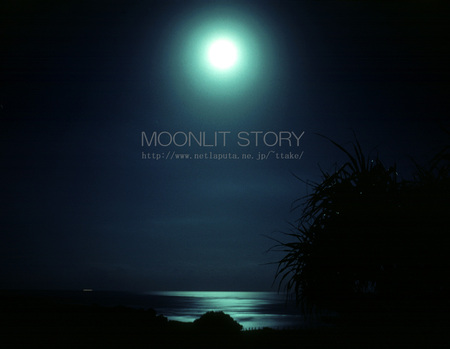 Moon Night Selenade - moonlit story, moon, japan, okinawa, cosmos