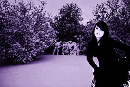 Violet Snow--Dream - goth, black, trees, snow, violet, gothic, dark