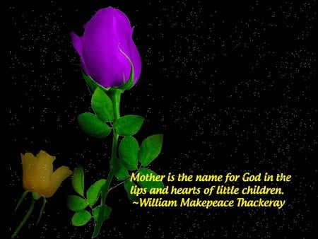 Mother´s quote - purple, rose, tenderness, black, quote, mother