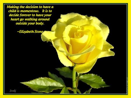 Mother's quote - rose, quote, mother, yellow, love