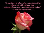 Pink rose with mother's quote