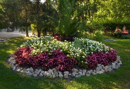 park - garden, summer, flower, nature