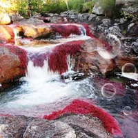 Coloured River