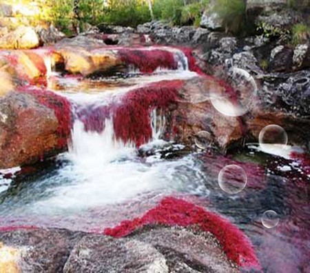 Coloured River - nature, colour, waters, rivers, bubbles