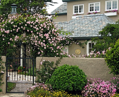 Roses Gate - house, roses, gate, arbor, frontyard