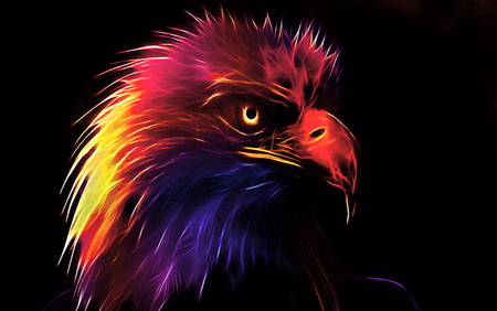 For Omar - black, eagle, yellow, purple, red, colors, orange, fractal