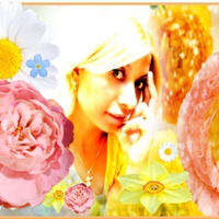 Kanchan Bagari: Flowers Wallpaper