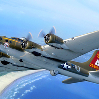  Boeing B-17 Flying Fortress   Thunderbird of another time