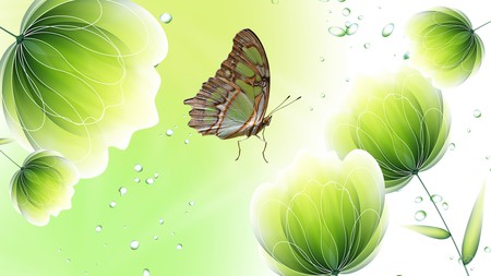 Green Shines - bright, butterfly, green, summer, flowers, firefox persona, shine, spring