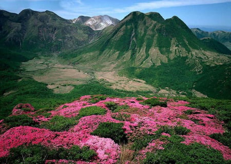 Mountains - flowers, mountains, nature, sky