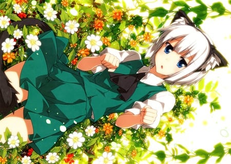 Touhou - dress, gray hair, cat girl, konpaku youmu, nyaa, blue eyes