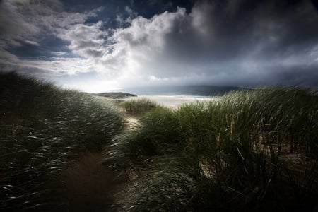 Storm - nature, sky, grass, forces of nature