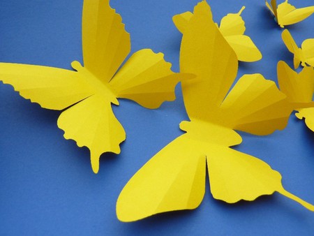 Yellow wings - sunlight, yellow, forever, wings, butterflies, sunshine, just  fly