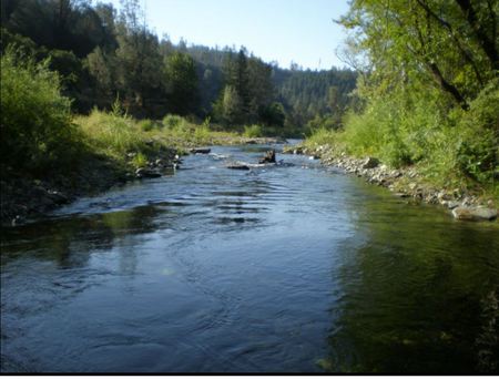 Trinity River - fishing, lakes, streams, rivers