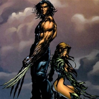 Wolverine And Witchblade