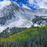 Alpine Landscape