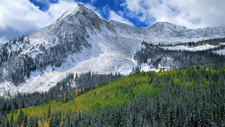 Alpine Landscape - sky, landscape, alpine, mountain, white, forest, blue, snow, green