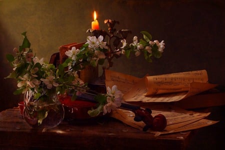 Candlelight Sonata - sheet music, candle, blossoms, books, violin, flowers, still life, cherry blossoms