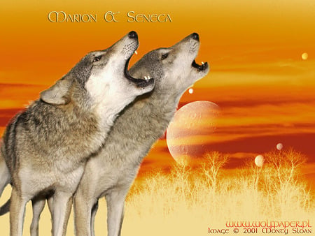 Howl To A Alien SunSet - moon, grey wolf, sunset, dogs, yellow, wolf, animals