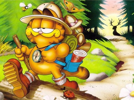 Garfield - entertainment, garfield, tv, cat