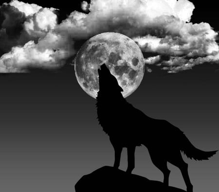 The Calling - clouds, moon, black, grey, night, darkness, wolves