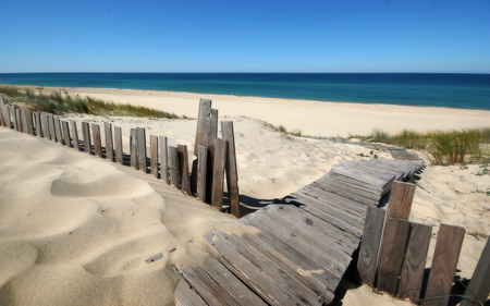 almost there - summer, relaxing, wood, beach, beauty, walk, ocean sand, nature, sun