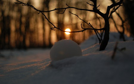 end of winter - pretty, trees, winter, snow, beauty, forest, sunset, nature, cold, sun