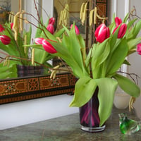 Tulips for Mom