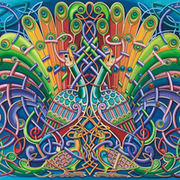 Celtic Peacocks F5mp