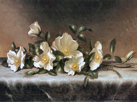 Cherokee Roses F1 - martin heade, flower, rose, cherokee, still life, art, heade, white, floral, painting, grey