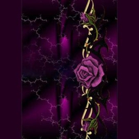 PURPLE ROSE VINE