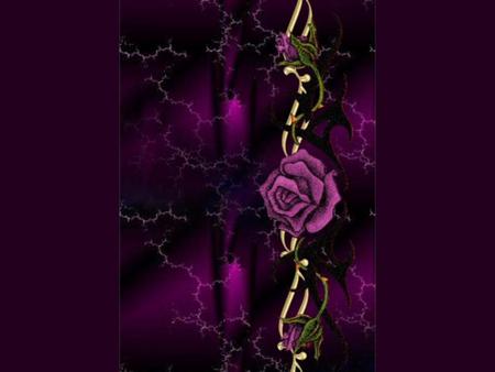 PURPLE ROSE VINE - gold, purple, rose, vine