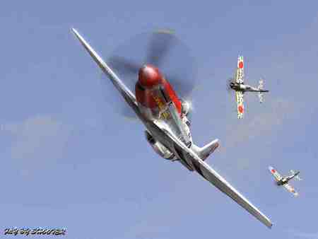 P51 Kis - p51 kis