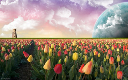 Tulip field - tulip field, sky, popular, 3d and cg, landskape, tulips, wallpaper, abstract, yellow, red, planet