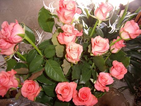 Roses - flowers, roses, pink, nature